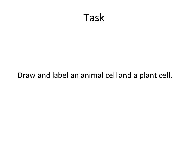 Task Draw and label an animal cell and a plant cell. 