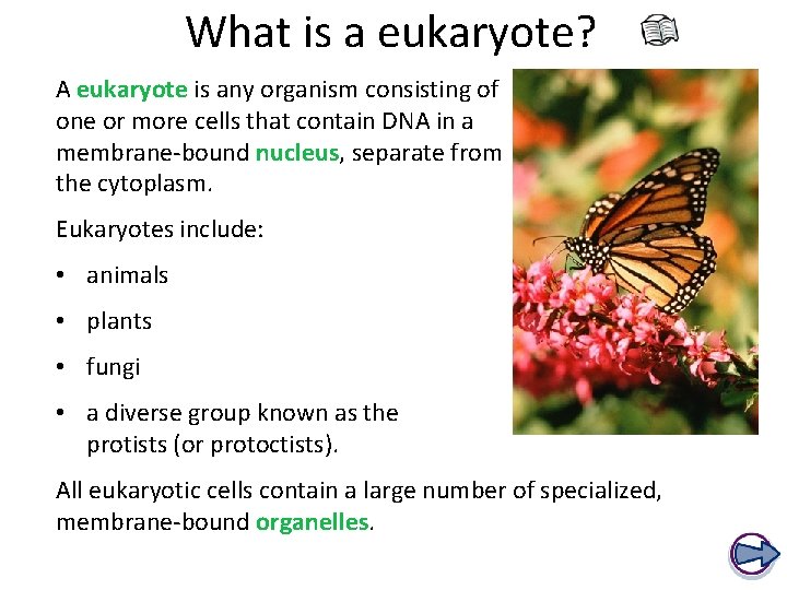 What is a eukaryote? A eukaryote is any organism consisting of one or more