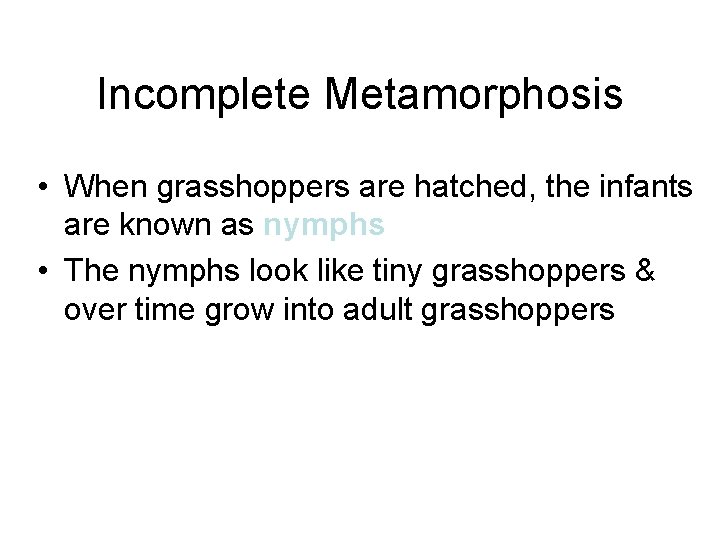 Incomplete Metamorphosis • When grasshoppers are hatched, the infants are known as nymphs •