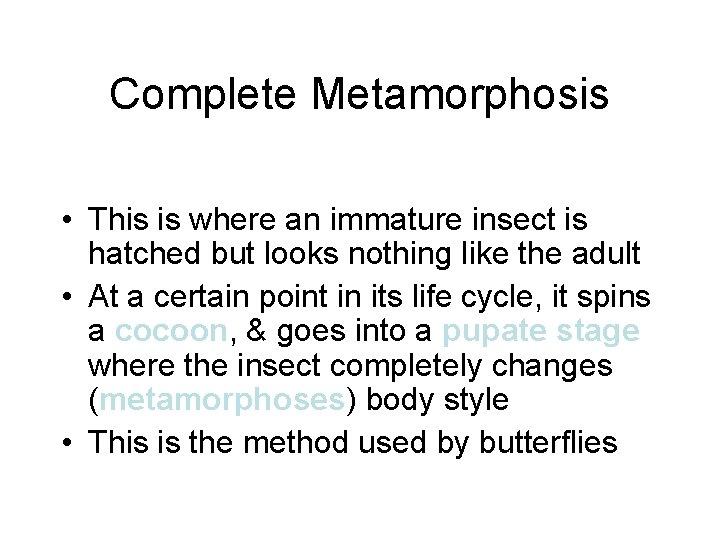 Complete Metamorphosis • This is where an immature insect is hatched but looks nothing