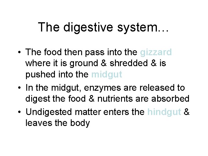 The digestive system… • The food then pass into the gizzard where it is