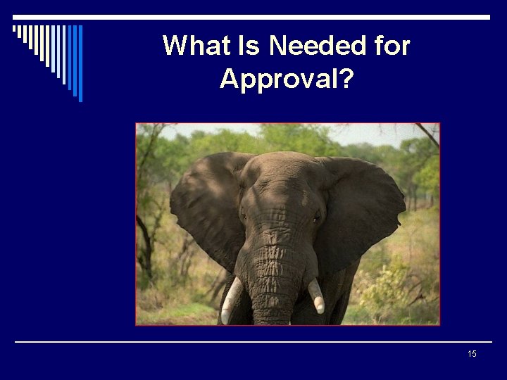 What Is Needed for Approval? 15 