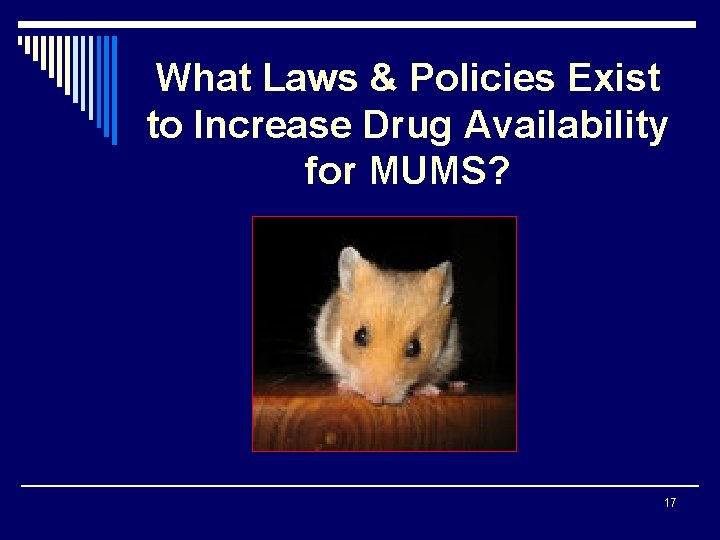 What Laws & Policies Exist to Increase Drug Availability for MUMS? 17 