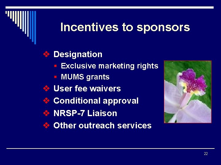 Incentives to sponsors v Designation § Exclusive marketing rights § MUMS grants v v