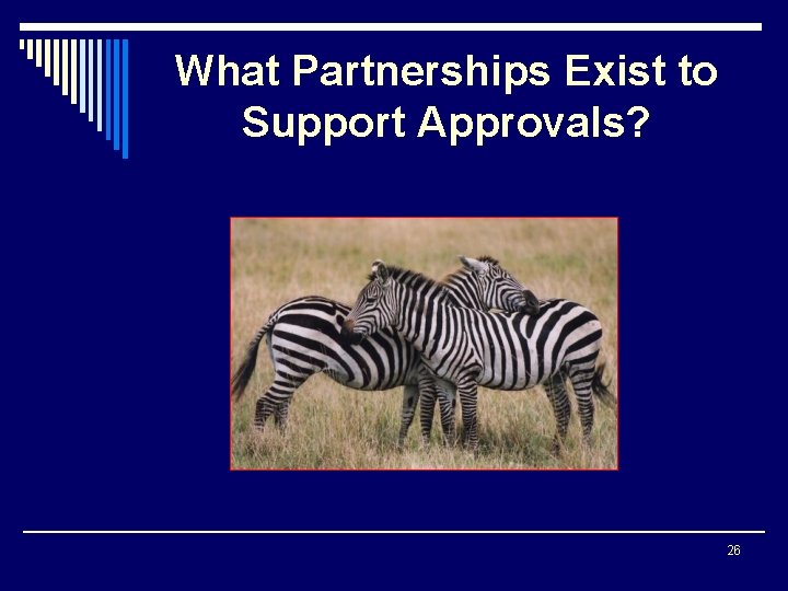 What Partnerships Exist to Support Approvals? 26 