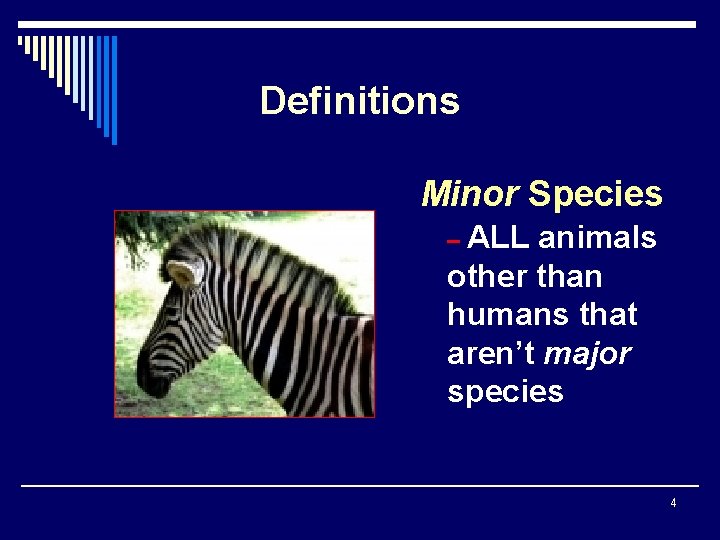 Definitions Minor Species – ALL animals other than humans that aren’t major species 4