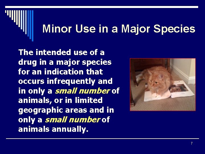 Minor Use in a Major Species The intended use of a drug in a