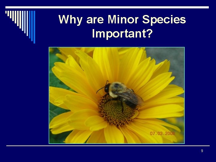 Why are Minor Species Important? 9 