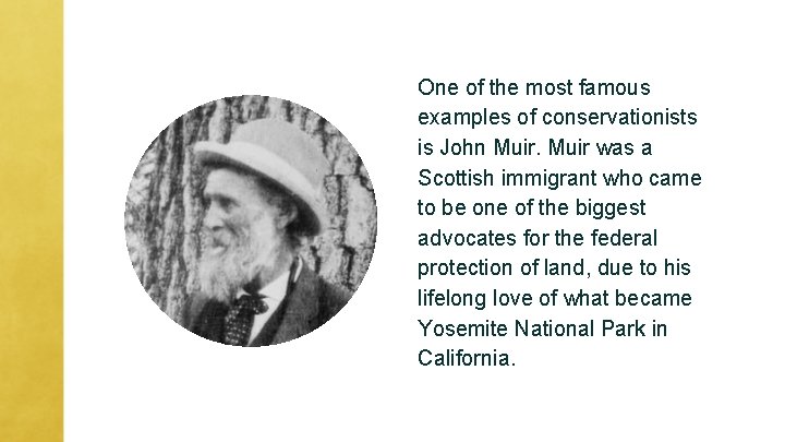 One of the most famous examples of conservationists is John Muir was a Scottish