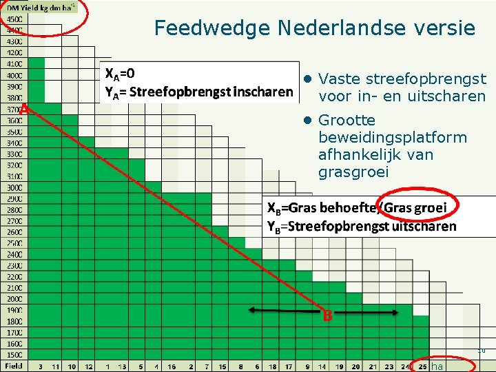 Feedwedge Nederlandse versie ● Vaste streefopbrengst voor in- en uitscharen ● Grootte beweidingsplatform afhankelijk