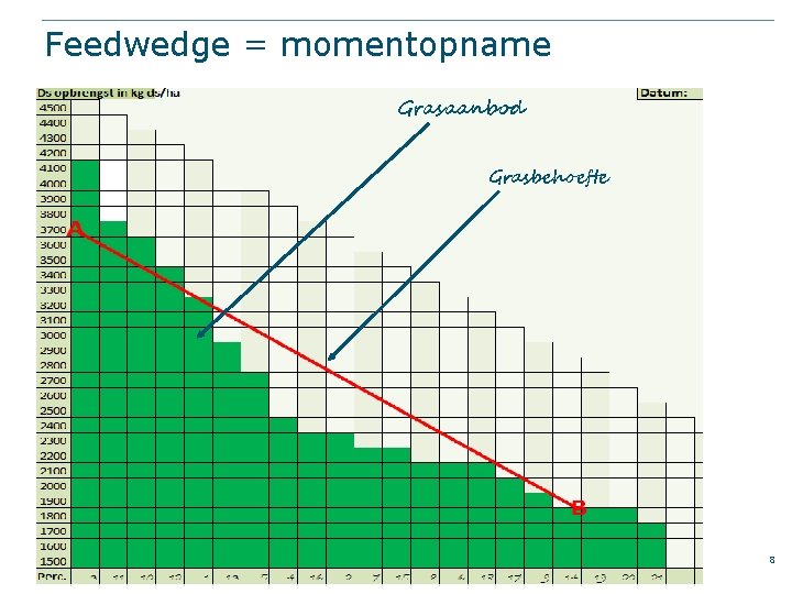 Feedwedge = momentopname Grasaanbod § Regel 1 Grasbehoefte ● Niveau 2 § Regel 2