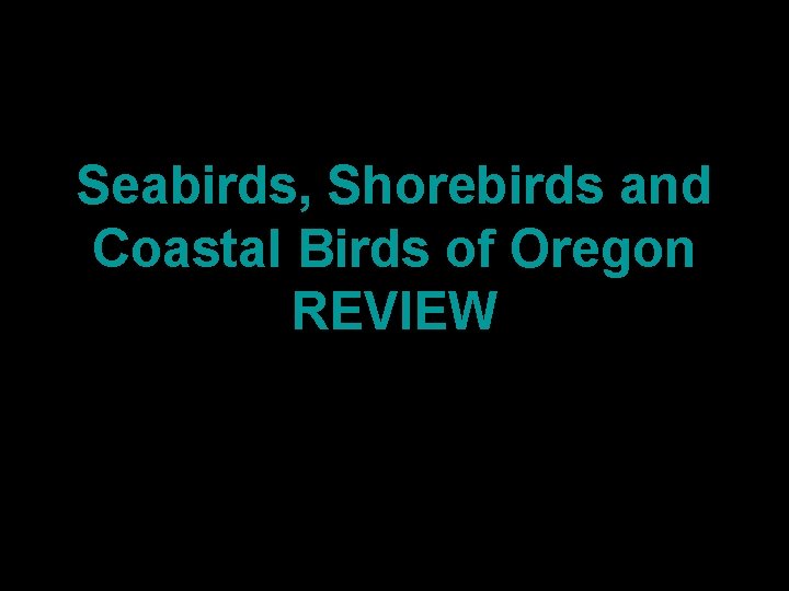 Seabirds, Shorebirds and Coastal Birds of Oregon REVIEW 