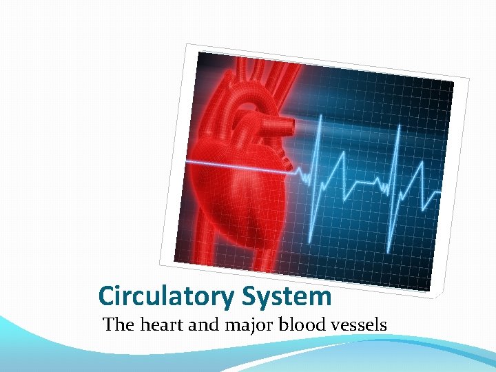 Circulatory System The heart and major blood vessels 