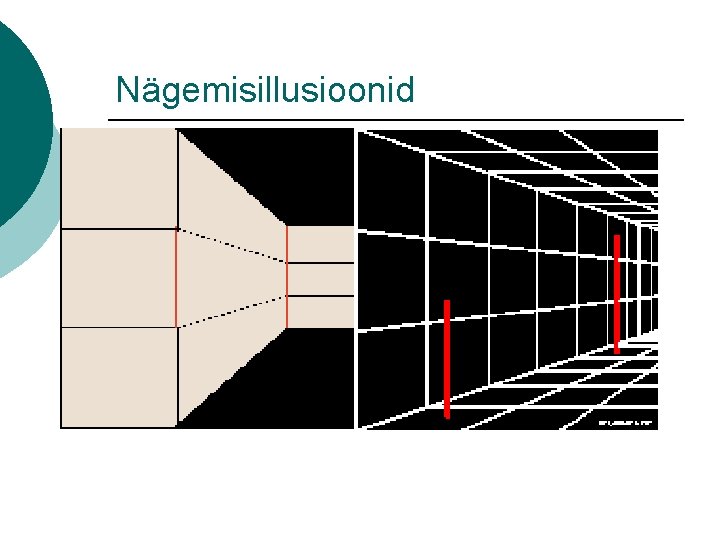 Nägemisillusioonid 