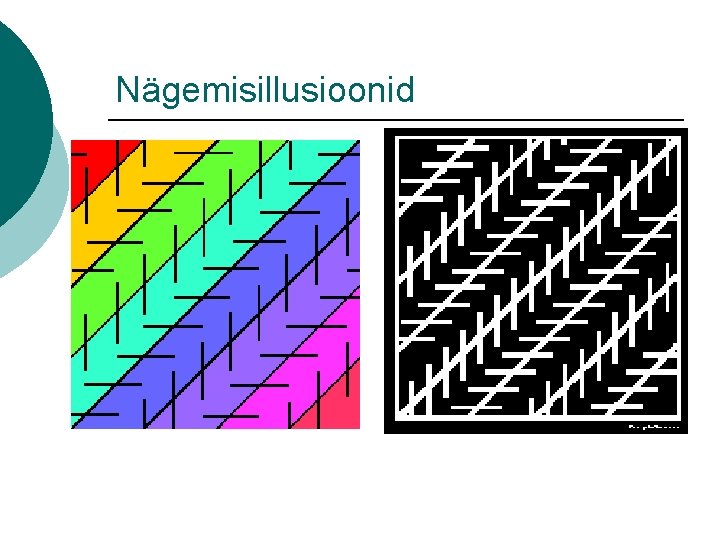 Nägemisillusioonid 