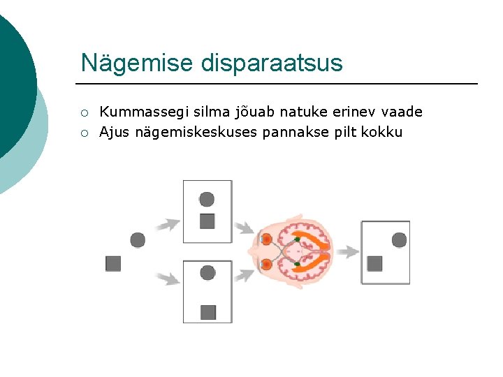 Nägemise disparaatsus ¡ ¡ Kummassegi silma jõuab natuke erinev vaade Ajus nägemiskeskuses pannakse pilt