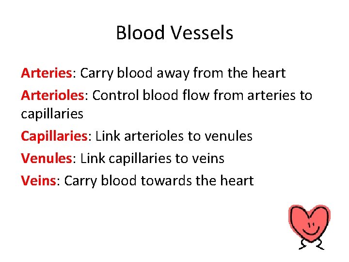 Blood Vessels Arteries: Carry blood away from the heart Arterioles: Control blood flow from