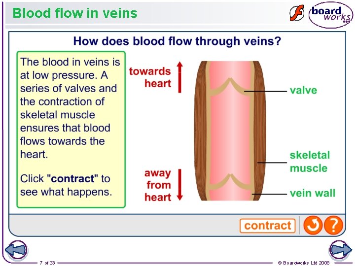 Blood flow in veins 7 of 33 © Boardworks Ltd 2008 