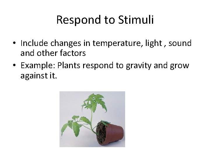 Respond to Stimuli • Include changes in temperature, light , sound and other factors