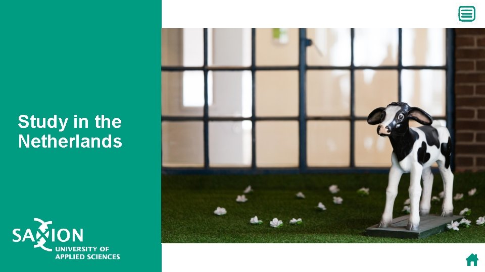 Study in the Netherlands Study in the Netherlands