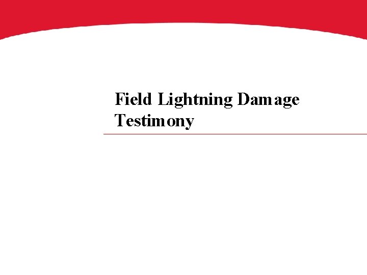 Field Lightning Damage Testimony 