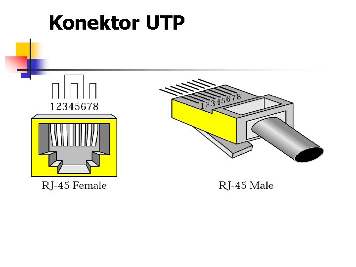 Konektor UTP 