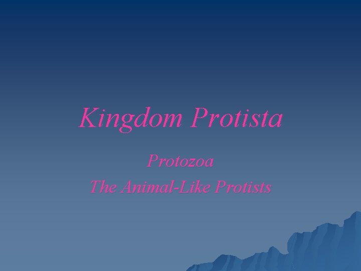 Kingdom Protista Protozoa The Animal-Like Protists 