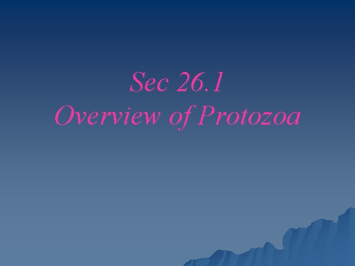 Sec 26. 1 Overview of Protozoa 