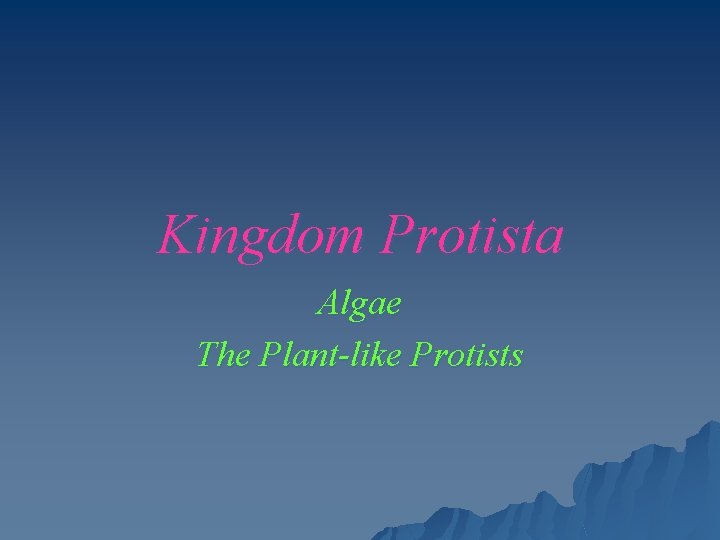 Kingdom Protista Algae The Plant-like Protists 