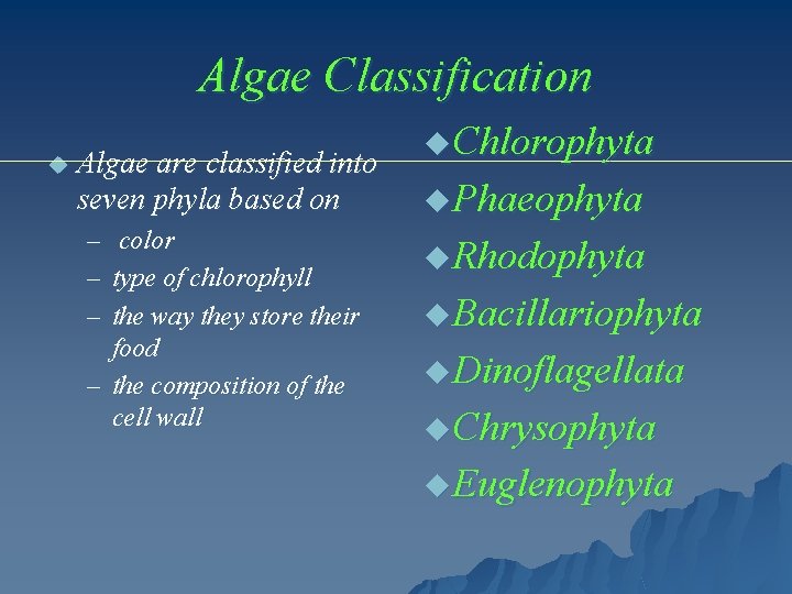 Algae Classification u Algae are classified into seven phyla based on – color –