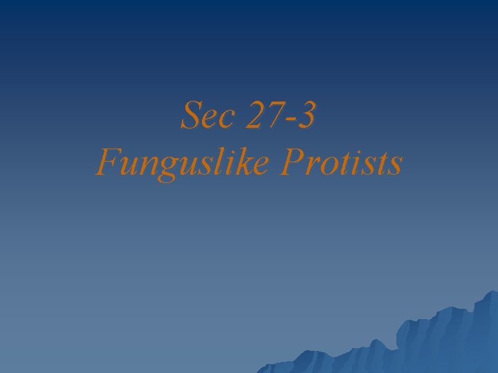 Sec 27 -3 Funguslike Protists 