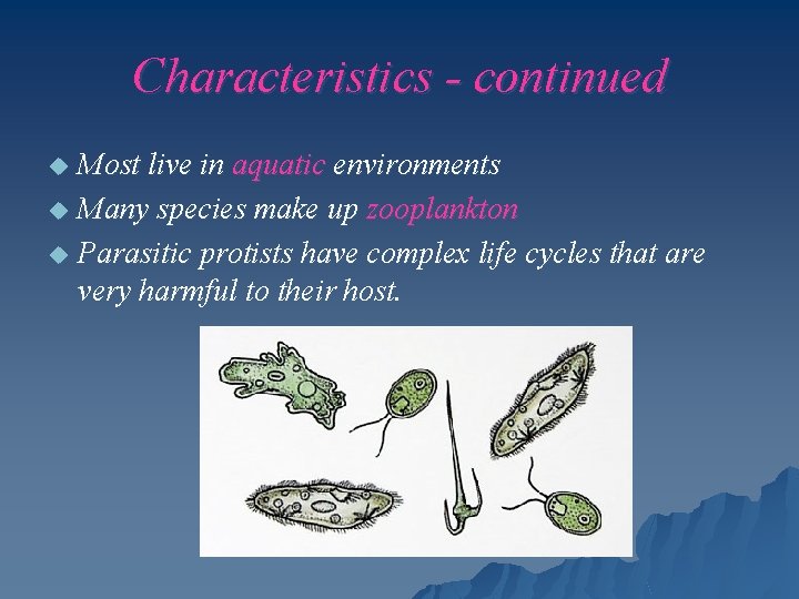 Characteristics - continued Most live in aquatic environments u Many species make up zooplankton