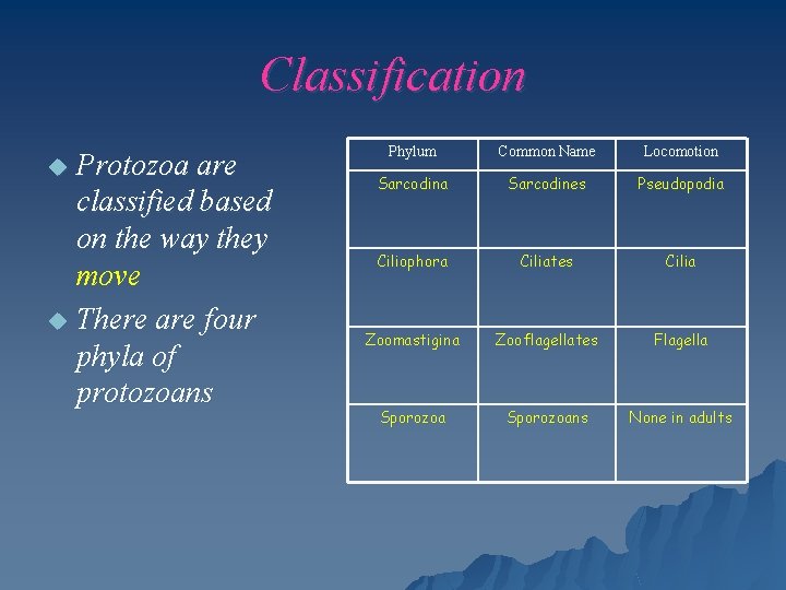 Classification Protozoa are classified based on the way they move u There are four