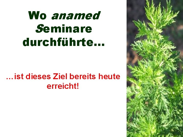 Wo anamed Seminare durchführte. . . …ist dieses Ziel bereits heute erreicht! 