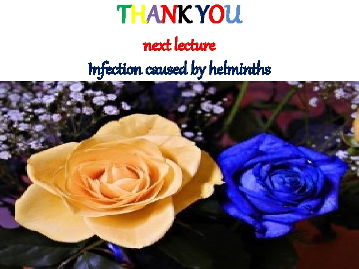 T H A NK Y OU next lecture Infection caused by helminths 