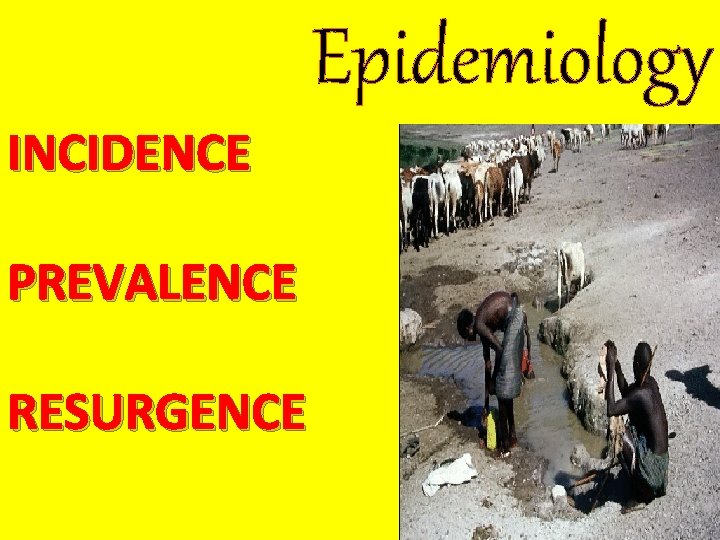 Epidemiology INCIDENCE PREVALENCE RESURGENCE 