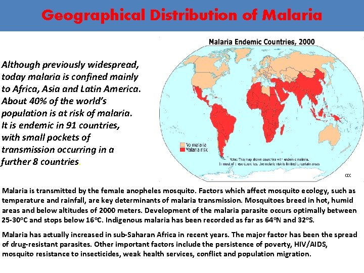 Geographical Distribution of Malaria Although previously widespread, today malaria is confined mainly to Africa,