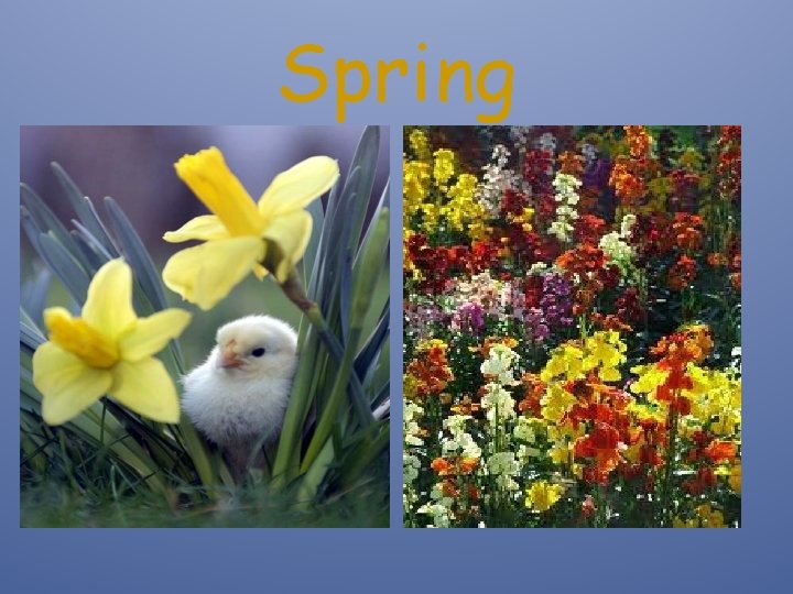 Unit 1 Seasons Poetry Summer Summer Song by