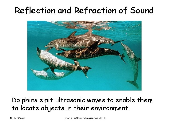 Reflection and Refraction of Sound Dolphins emit ultrasonic waves to enable them to locate