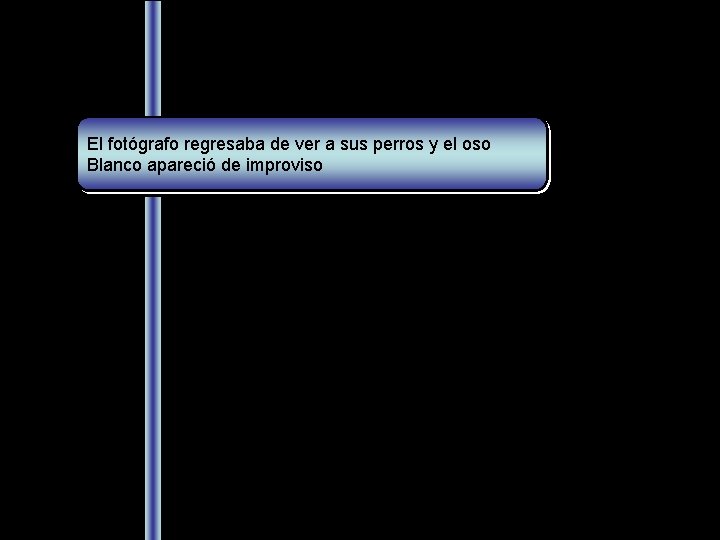 El fotógrafo regresaba de ver a sus perros y el oso Blanco apareció de