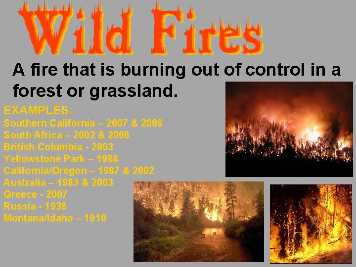 A fire that is burning out of control in a forest or grassland. EXAMPLES: