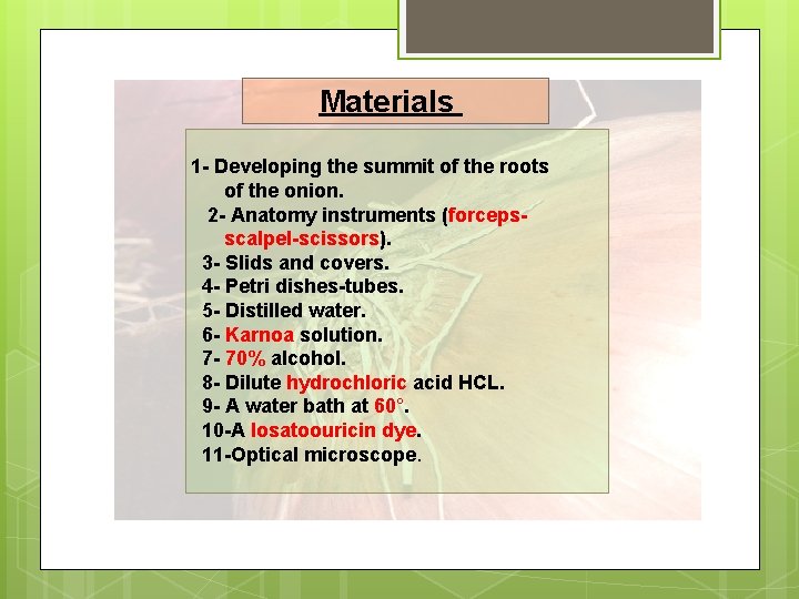 Materials 1 - Developing the summit of the roots of the onion. 2 -