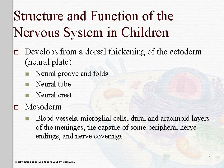 Structure and Function of the Nervous System in Children o Develops from a dorsal