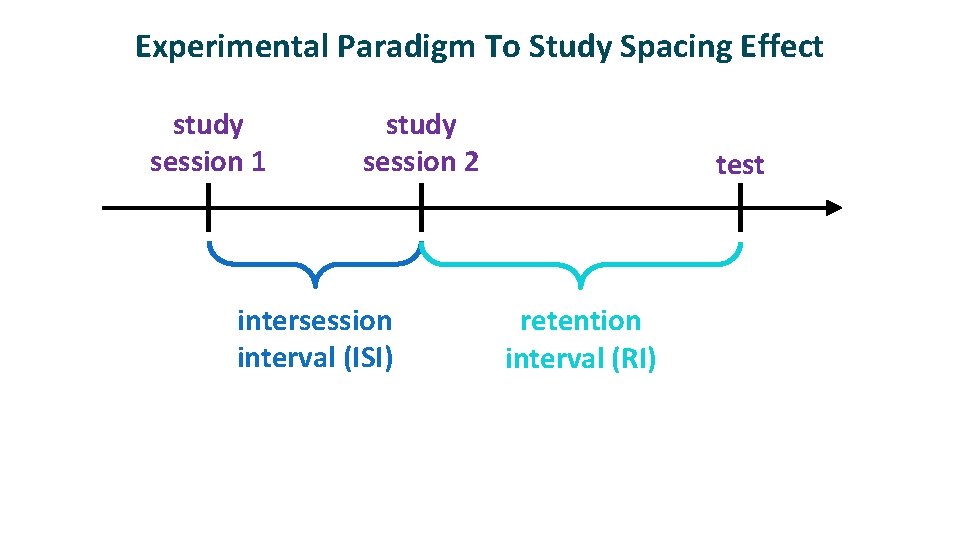 Experimental Paradigm To Study Spacing Effect study session 1 study session 2 intersession interval