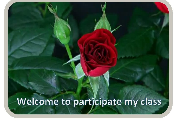 Welcome to participate my class 