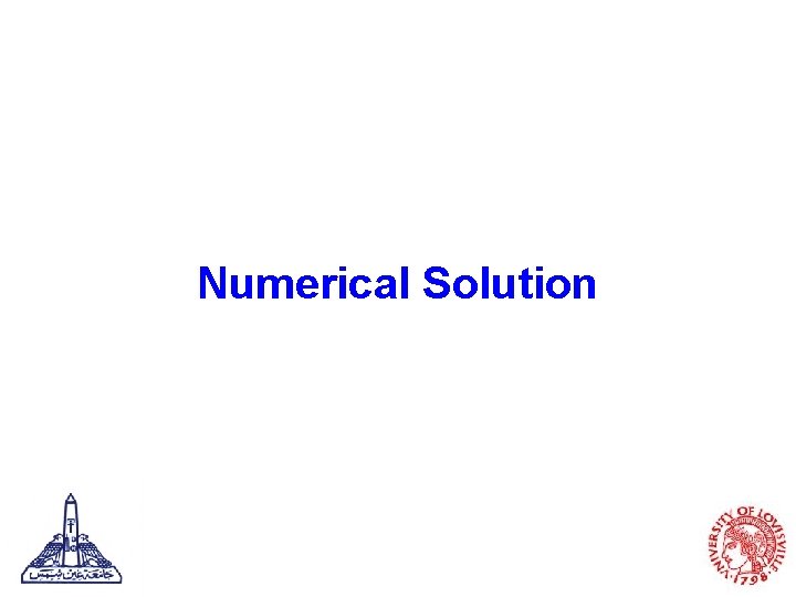 Numerical Solution 