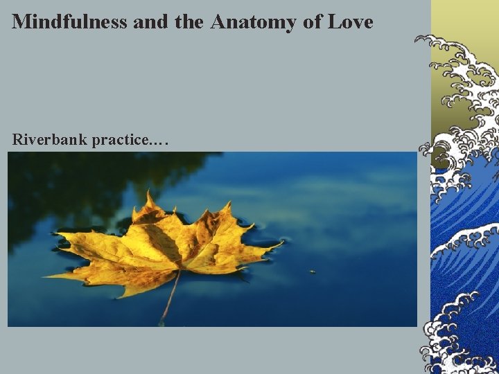 Mindfulness and the Anatomy of Love Riverbank practice…. 