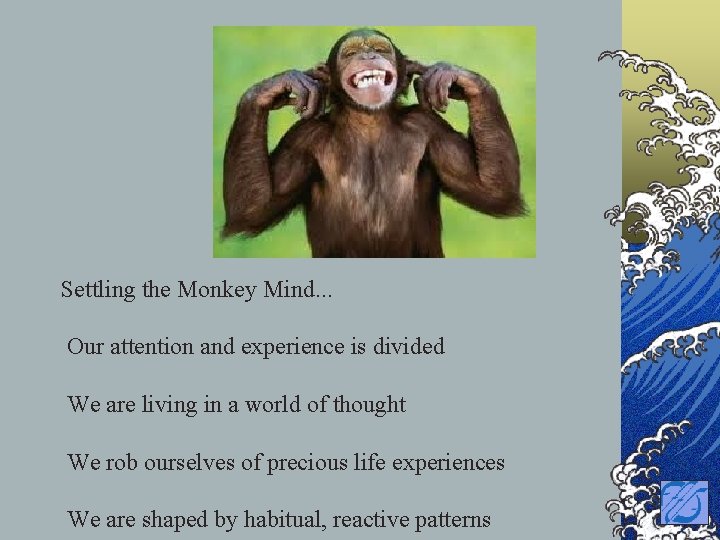 Settling the Monkey Mind. . . Our attention and experience is divided We are
