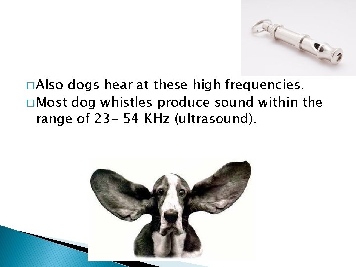 � Also dogs hear at these high frequencies. � Most dog whistles produce sound