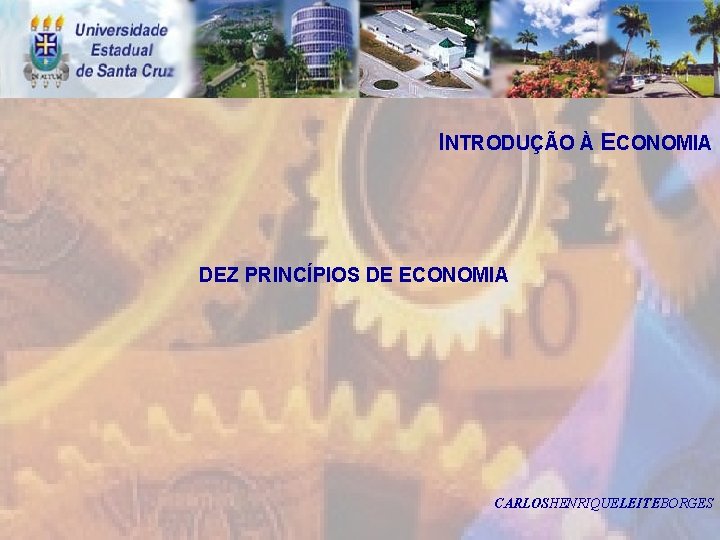 INTRODUÇÃO À ECONOMIA DEZ PRINCÍPIOS DE ECONOMIA CARLOSHENRIQUELEITEBORGES 